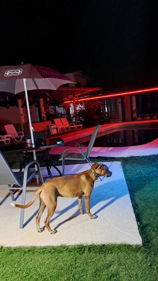 Hostal Villa Mayte Coronado Las Lajas  エクステリア 写真